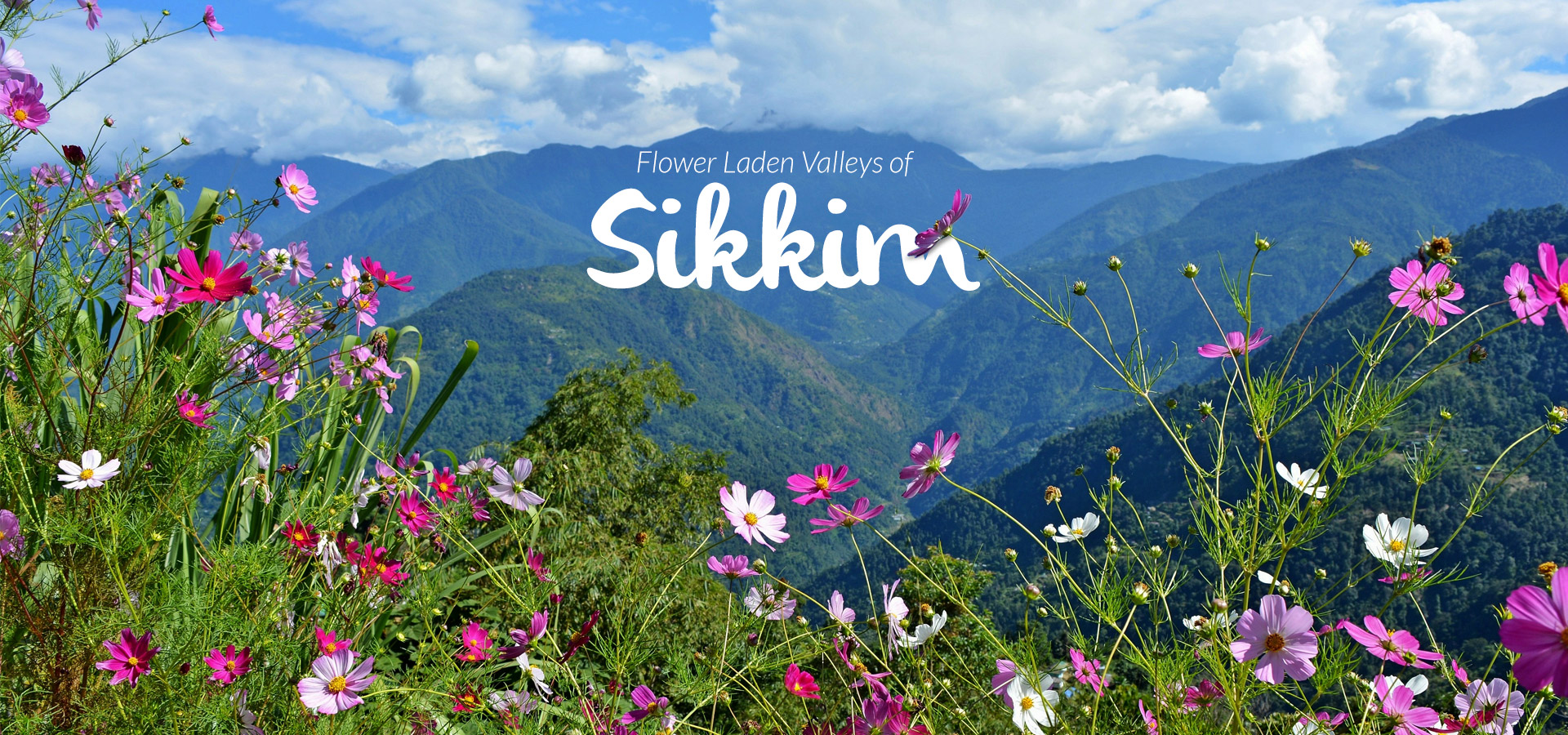 Prashad Tours & Travels