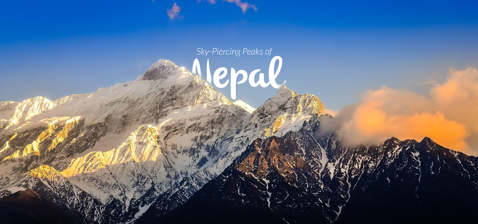 Prashad Tours & Travels